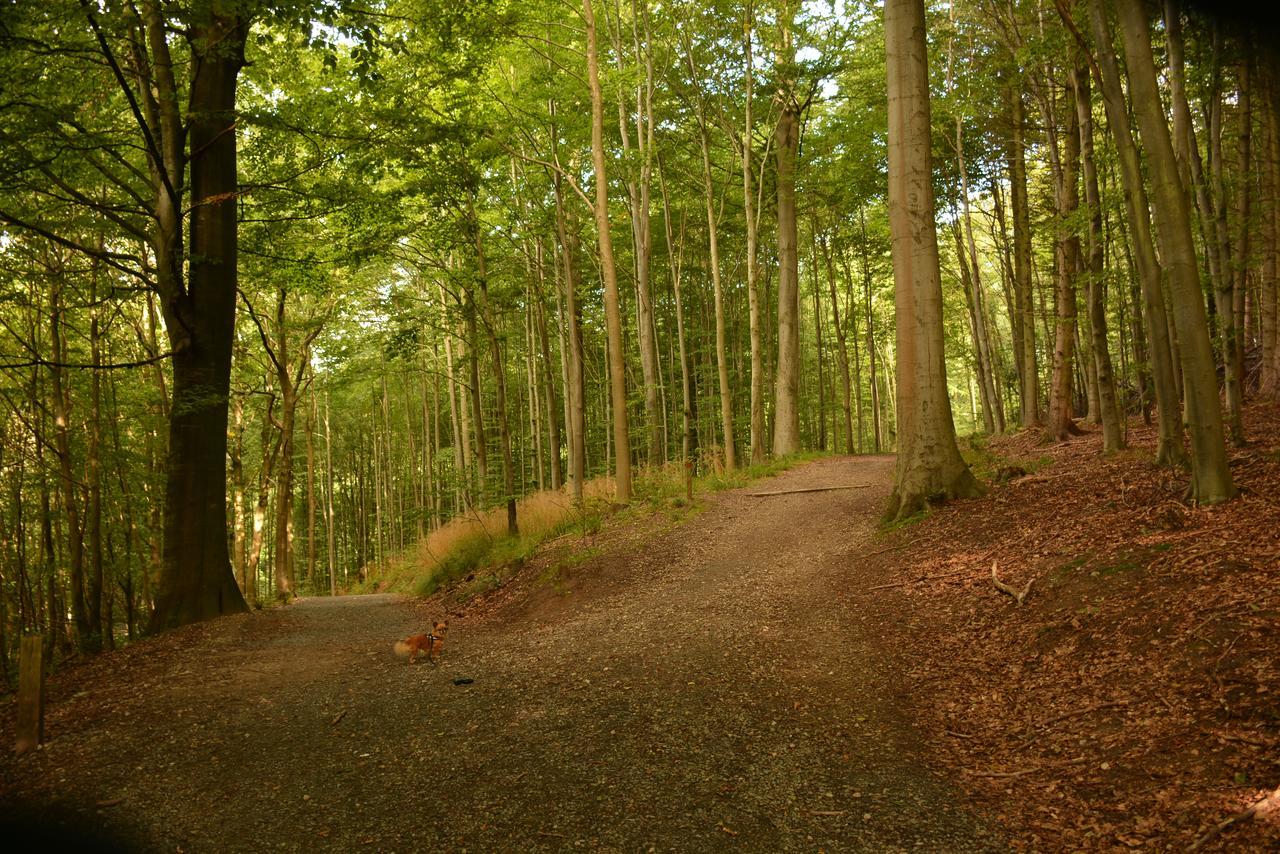 Vejle City Camping Екстер'єр фото